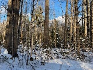 LOT045 Sawyer Notch Rd, Andover, ME 04216 - photo 7