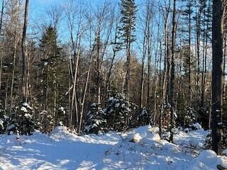 LOT045 Sawyer Notch Rd, Andover, ME 04216 - photo 8