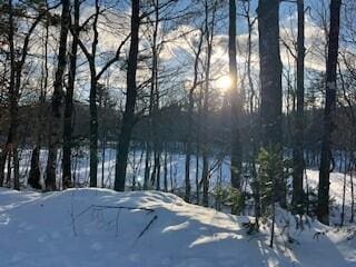 LOT045 Sawyer Notch Rd, Andover, ME 04216 - photo 9
