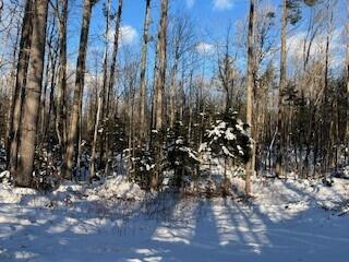 LOT045 Sawyer Notch Rd, Andover, ME 04216 - photo 10