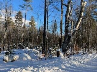LOT045 Sawyer Notch Rd, Andover, ME 04216 - photo 11