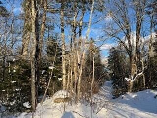 LOT045 Sawyer Notch Rd, Andover, ME 04216 - photo 12