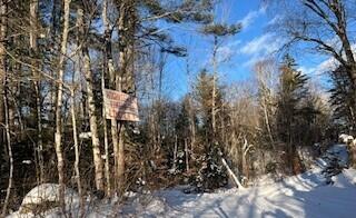 LOT045 Sawyer Notch Rd, Andover, ME 04216 - photo 18