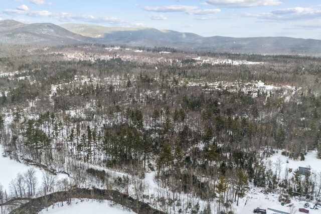 LOT045 Sawyer Notch Rd, Andover, ME 04216 - photo 19