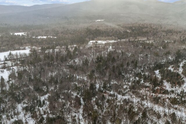 LOT045 Sawyer Notch Rd, Andover, ME 04216 - photo 20