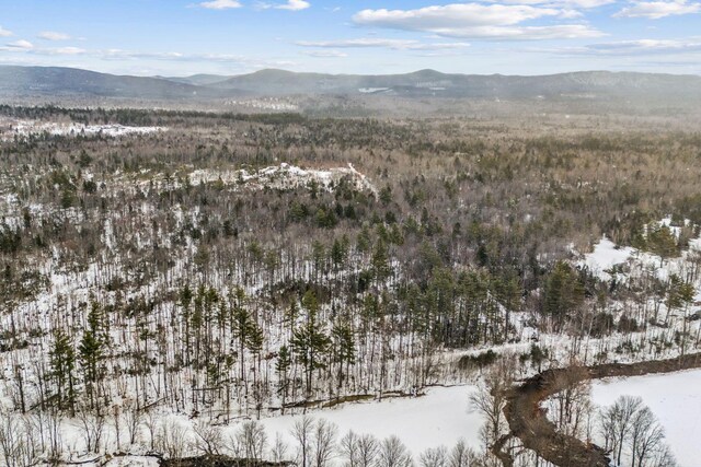 LOT045 Sawyer Notch Rd, Andover, ME 04216 - photo 21