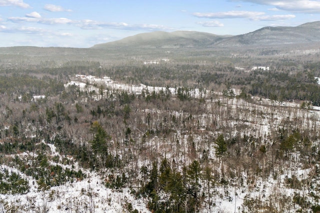 LOT045 Sawyer Notch Rd, Andover, ME 04216 - photo 4