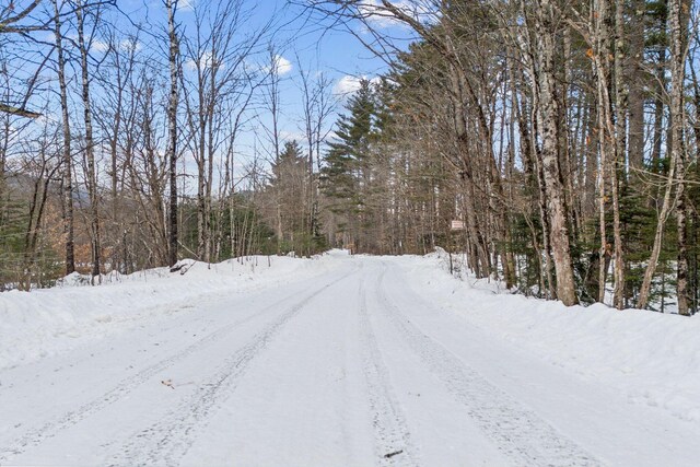 LOT045 Sawyer Notch Rd, Andover, ME 04216 - photo 13