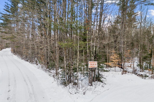 LOT045 Sawyer Notch Rd, Andover, ME 04216 - photo 16