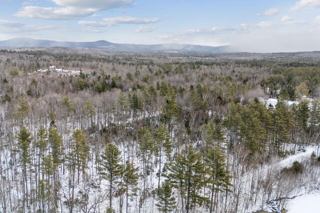 LOT045 Sawyer Notch Rd, Andover, ME 04216 - photo 22