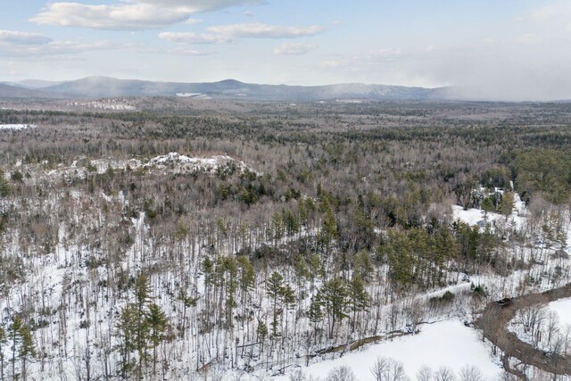 LOT045 Sawyer Notch Rd, Andover, ME 04216 - photo 23
