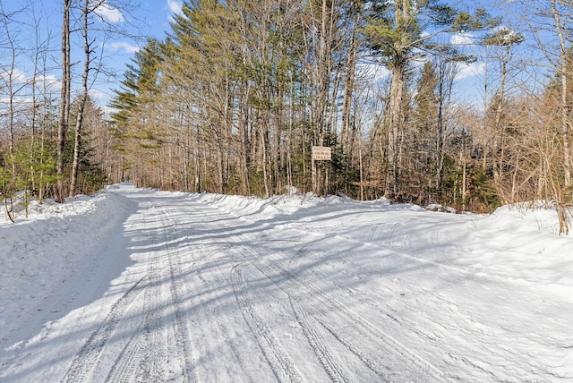 LOT045 Sawyer Notch Rd, Andover, ME 04216 - photo 15
