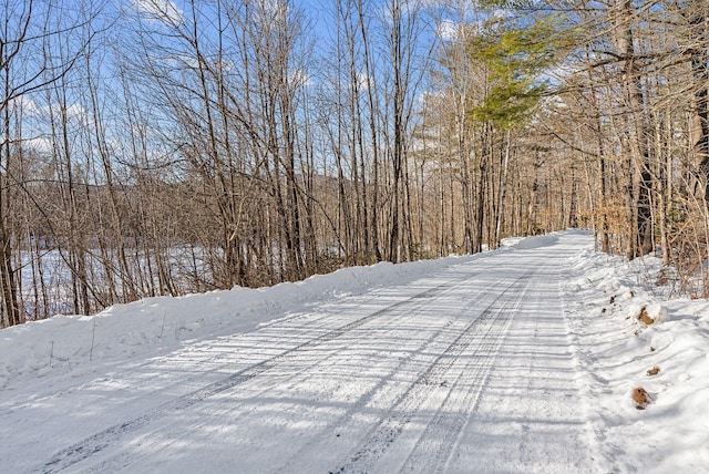 LOT045 Sawyer Notch Rd, Andover, ME 04216 - photo 14