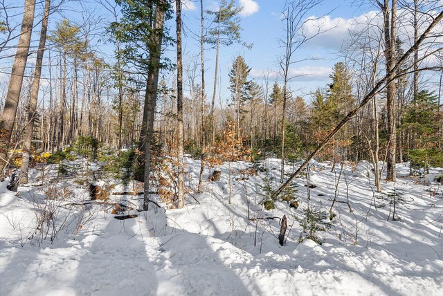 LOT045 Sawyer Notch Rd, Andover, ME 04216 - photo 5