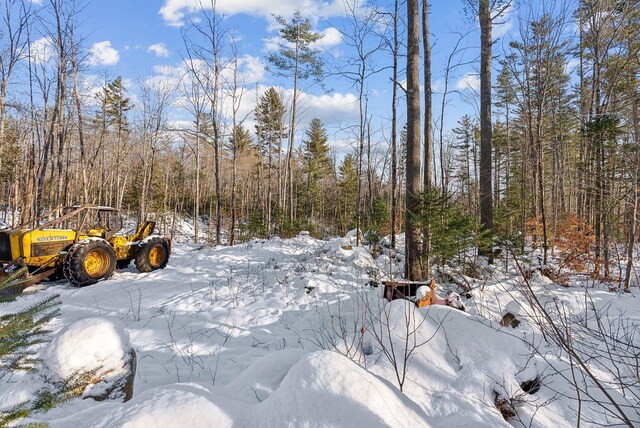 LOT045 Sawyer Notch Rd, Andover, ME 04216 - photo 6