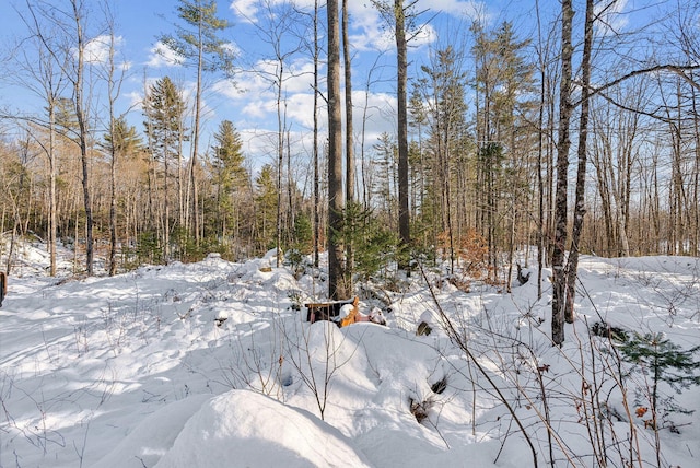 Listing photo 2 for LOT045 Sawyer Notch Rd, Andover ME 04216