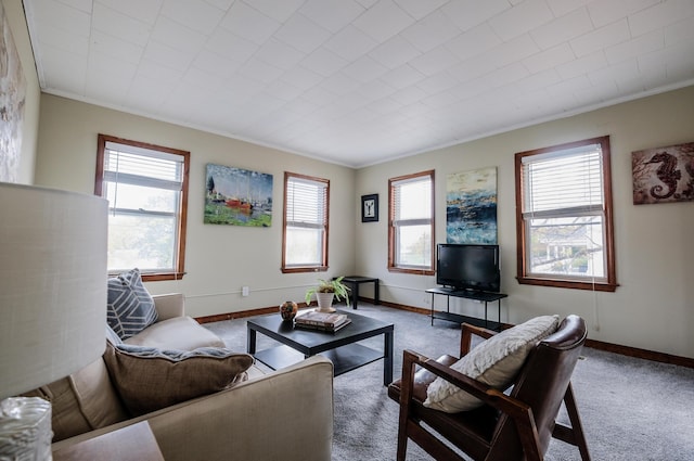 carpeted living room featuring crown molding and a healthy amount of sunlight