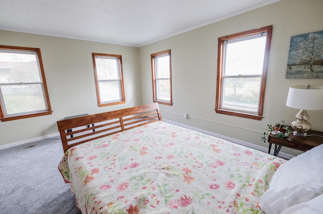 bedroom featuring carpet flooring, ornamental molding, and multiple windows