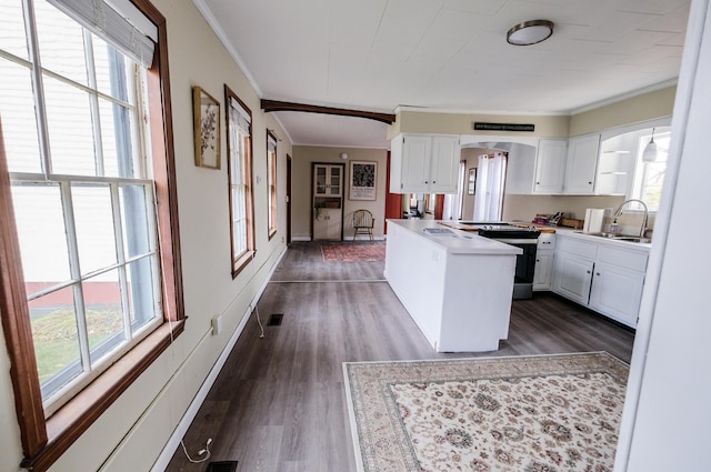 kitchen with sink, a healthy amount of sunlight, and electric range oven