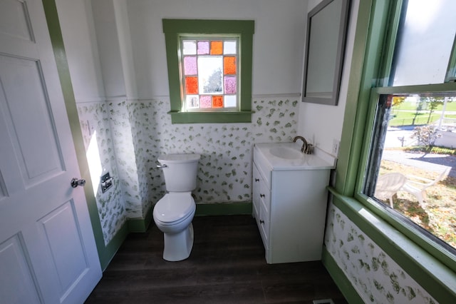 bathroom with wood-type flooring, vanity, and toilet