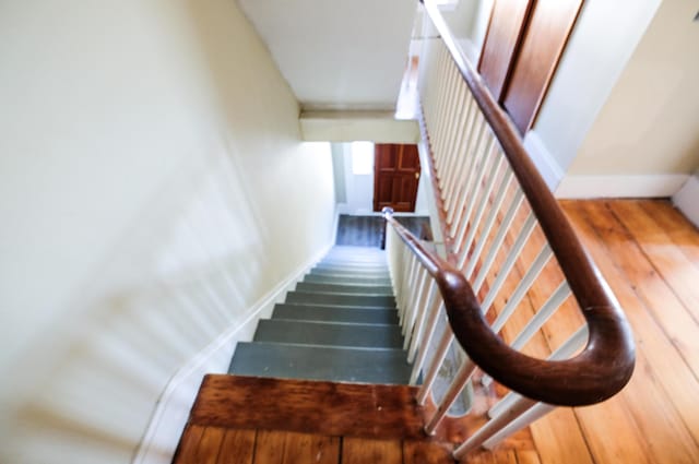 stairway with wood-type flooring