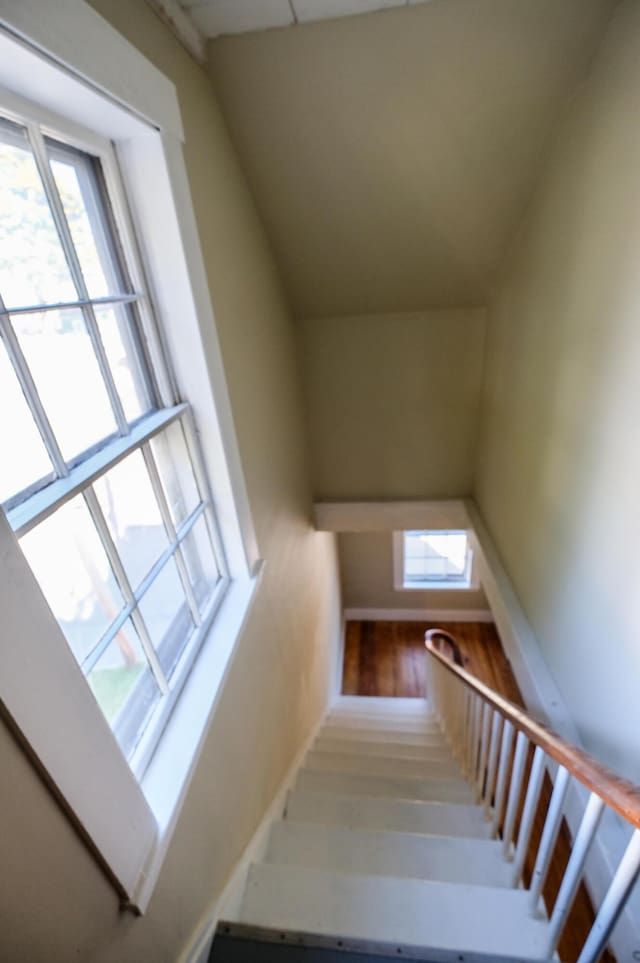 staircase with plenty of natural light and hardwood / wood-style flooring