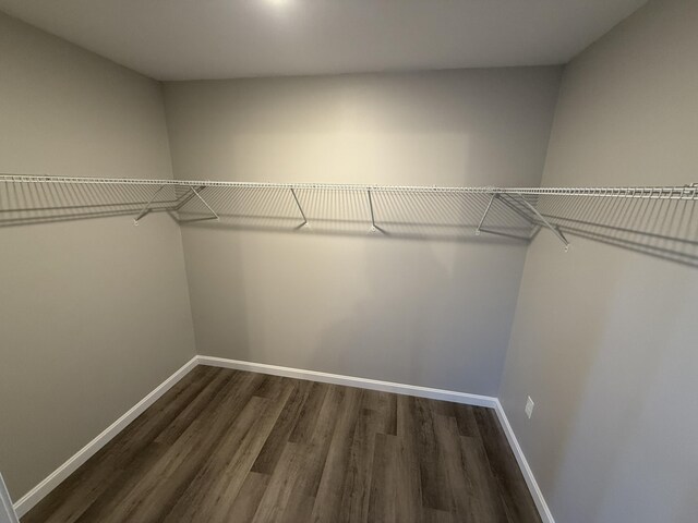 walk in closet featuring dark wood-type flooring