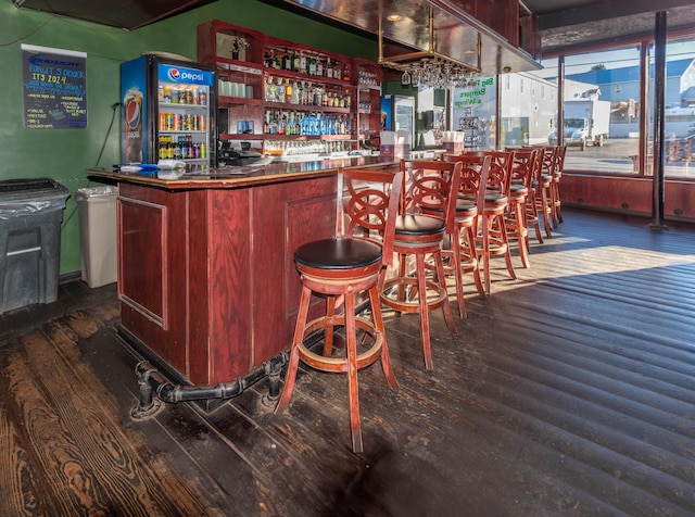 bar featuring plenty of natural light and dark hardwood / wood-style floors