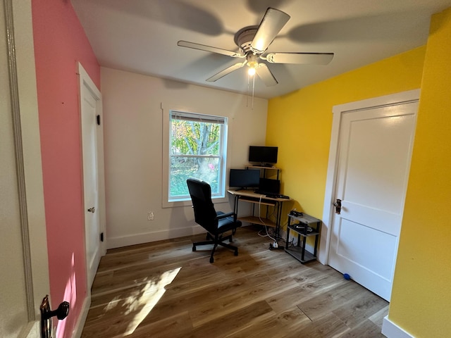 office featuring hardwood / wood-style flooring and ceiling fan