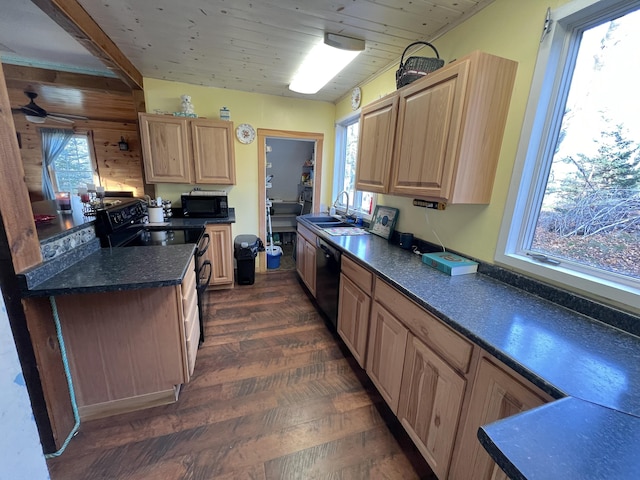 kitchen with black appliances, a healthy amount of sunlight, and dark wood-type flooring