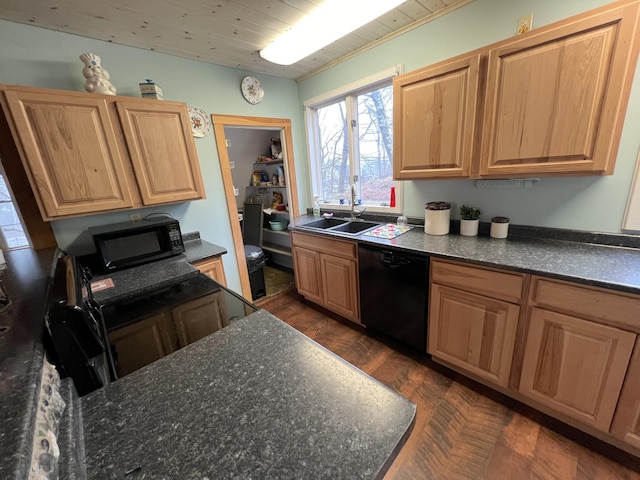 kitchen with sink, dark wood-type flooring, and black appliances