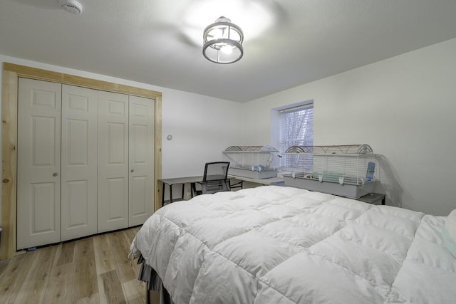 bedroom with light hardwood / wood-style floors and a closet