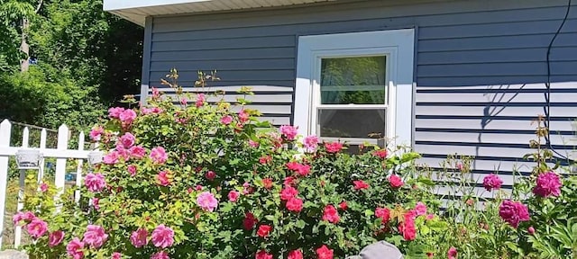 11 Dunton Ave, Rockland, ME 04841 - exterior view