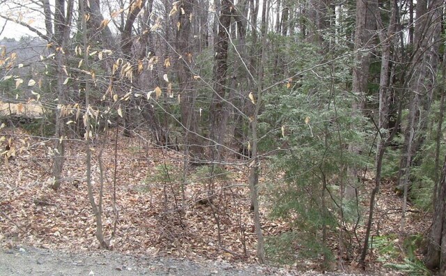LOT33.2 Sawyers Mills Rd, Starks, ME 04911