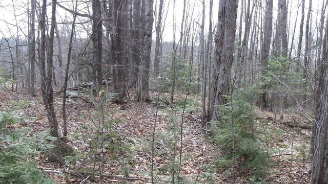 LOT33.2 Sawyers Mills Rd, Starks, ME 04911