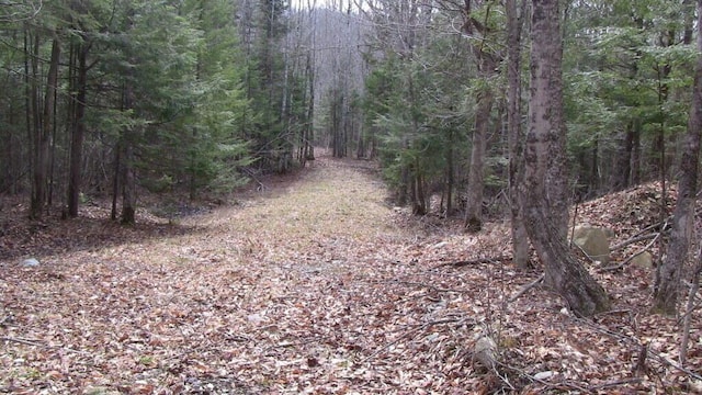 LOT33.2 Sawyers Mills Rd, Starks, ME 04911