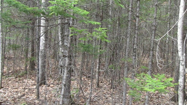 LOT33.2 Sawyers Mills Rd, Starks, ME 04911