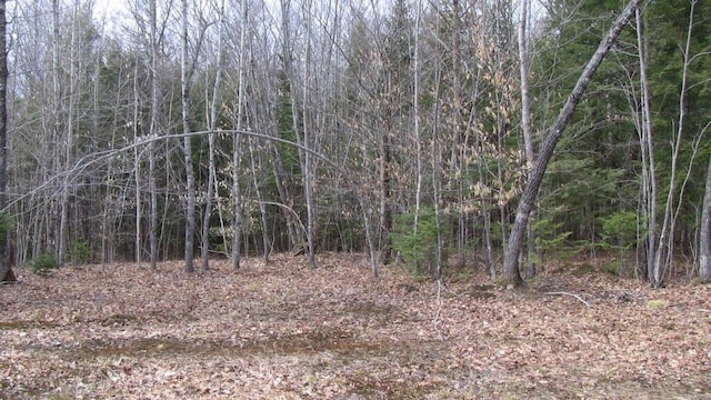 LOT33.2 Sawyers Mills Rd, Starks, ME 04911