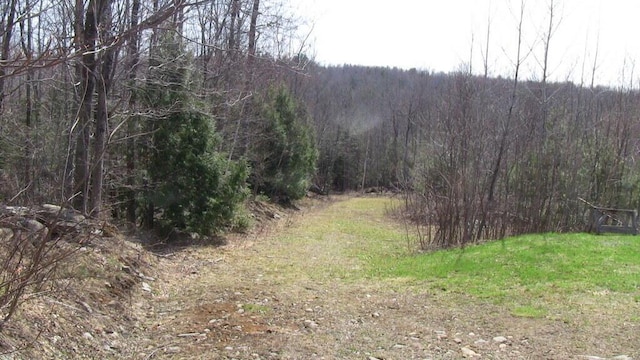LOT33.2 Sawyers Mills Rd, Starks, ME 04911