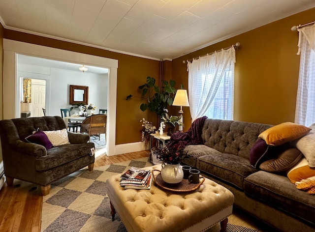 living room with light hardwood / wood-style floors