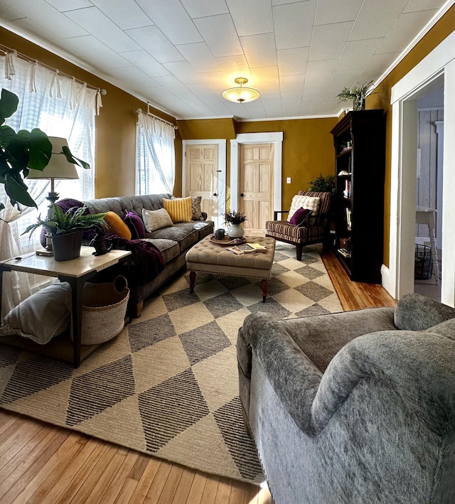 living room featuring wood-type flooring