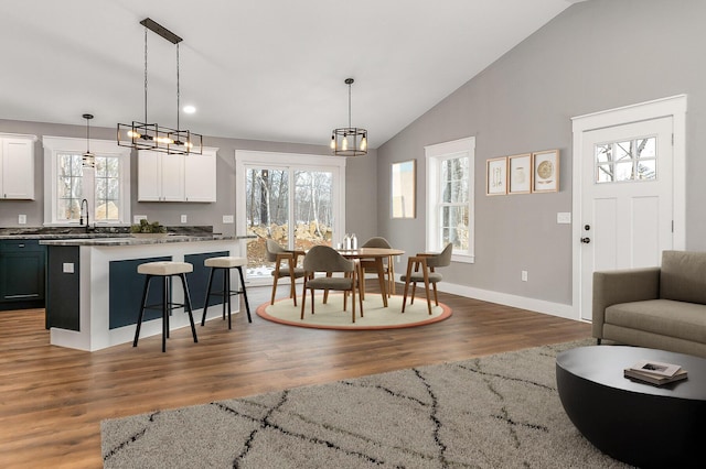 interior space featuring plenty of natural light, sink, high vaulted ceiling, and dark hardwood / wood-style floors