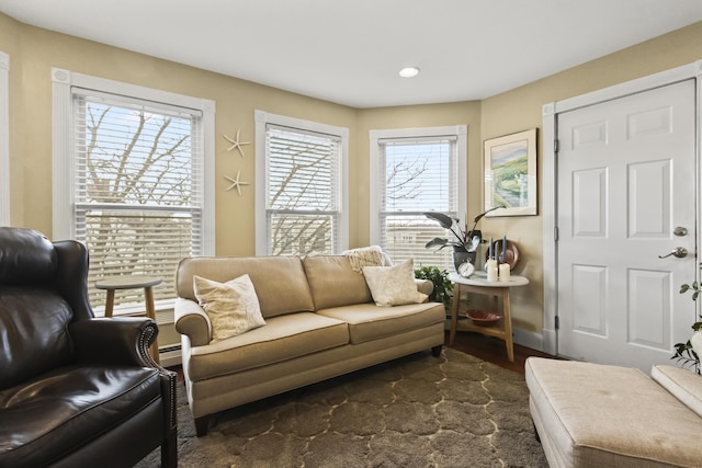 living area with plenty of natural light and dark hardwood / wood-style floors