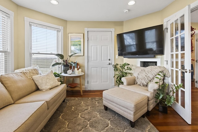 living area featuring french doors and dark hardwood / wood-style floors