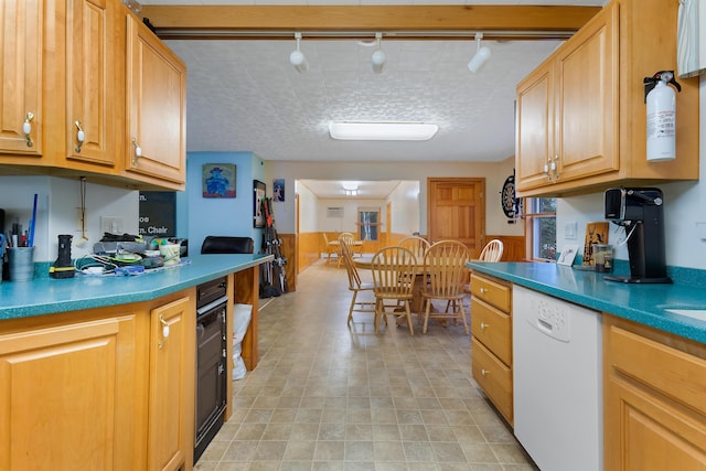 kitchen with a textured ceiling, dishwasher, and rail lighting