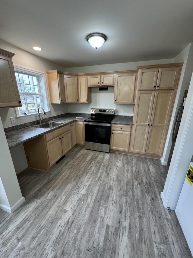 kitchen featuring light brown cabinetry, sink, stainless steel range with electric cooktop, and wood-type flooring