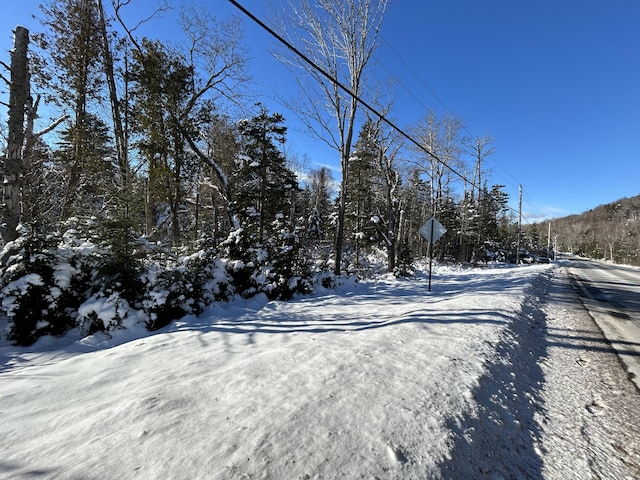 M17/L52-1 Stinchfield Rd, Sandy River Plt, ME 04970 - photo 5