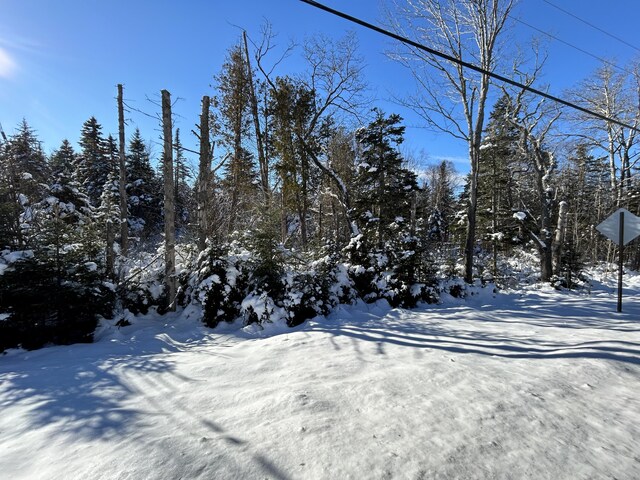 M17/L52-1 Stinchfield Rd, Sandy River Plt, ME 04970 - photo 4