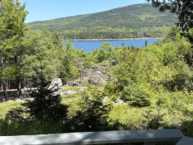 70 Hall Quarry Rd, Mount Desert, ME 04660 - water view with a heavily wooded area and mountains