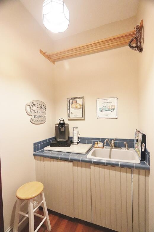 kitchen featuring sink and dark wood-type flooring